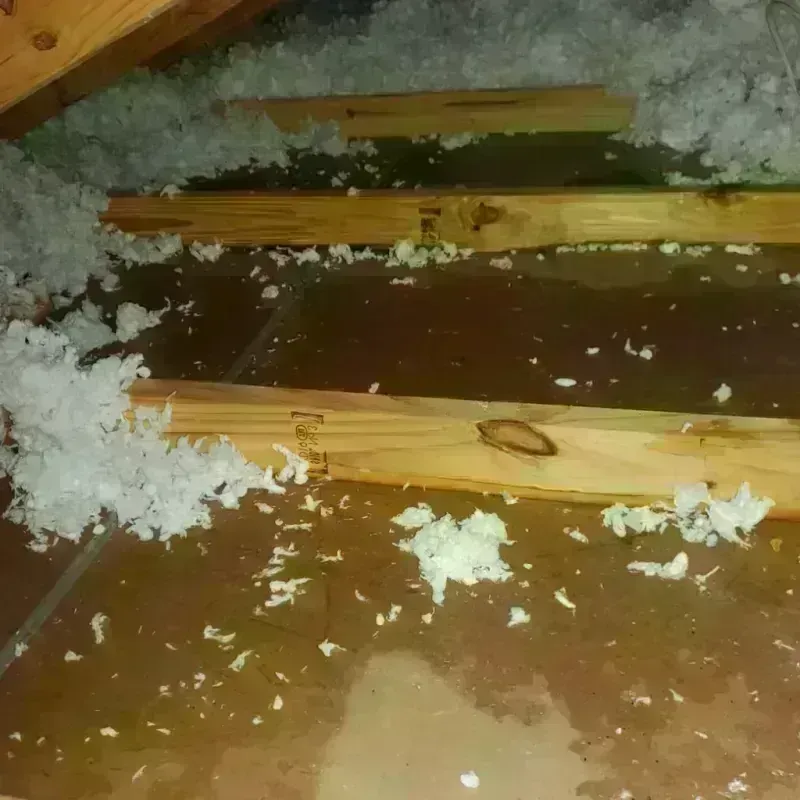 Attic Water Damage in Clay County, NC