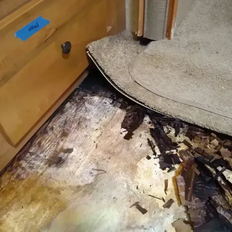 Wood Floor Water Damage in Clay County, NC